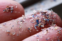 Lần đầu phát hiện hạt vi nhựa trong máu người