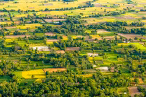 “Tận mục” ruộng bậc thang độc nhất ở Đồng bằng sông Cửu Long