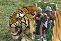 Hổ vồ chết người trong công viên gây sốc