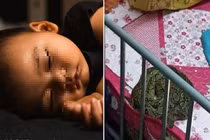 Vào xem con ngủ, mẹ thất kinh thấy trăn dài 1 mét cạnh con