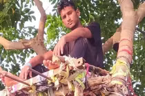 Nam sinh mắc COVID-19 kể chuyện tự cách ly...trên cây