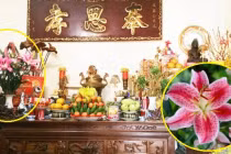 8 loại hoa không nên cắm trên bàn thờ ngày Tết Nhâm Dần