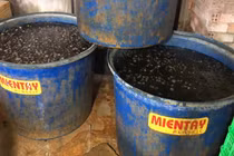 Hãi hùng phát hiện 2,2 tấn thịt ốc ngâm hóa chất ở TP HCM