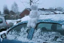 Cười ngất trước loạt khoảnh khắc hài hước khó tin trong cuộc sống