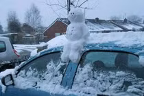 Cười ngất trước loạt khoảnh khắc hài hước khó tin trong cuộc sống