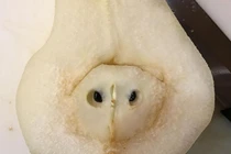 Loạt khoảnh khắc “gây lú” nhất trong cuộc sống