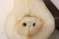 Loạt khoảnh khắc “gây lú” nhất trong cuộc sống