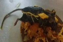 Đang nấu ăn, bà nội trợ kinh hãi thấy chuột chết trong tương cà