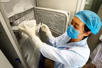 Lộ hình ảnh gây sốc trong phòng thí nghiệm ở thành phố Vũ Hán