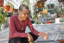 Lan đột biến và câu chuyện của người chơi lan bạc tỷ