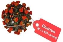 Cảnh báo: Omicron có thể khiến nhiều người nhập viện và tử vong hơn