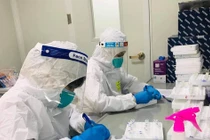 Bộ Y tế cảnh báo nhiều dịch bệnh truyền nhiễm nguy hiểm gia tăng