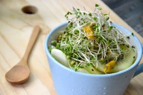 Loại rau khiến người Nhật "phát sốt", người Việt lại ngó lơ 