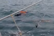 Người phụ nữ mất tích hai năm...được tìm thấy còn sống giữa biển