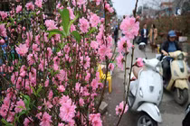 Đưa 6 triệu, chồng bắt tôi lo đủ Tết nội, ngoại