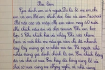 Làm văn kể về gia đình, bé trai lớp 2 “bóc phốt” chị gái