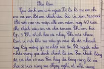 Làm văn kể về gia đình, bé trai lớp 2 “bóc phốt” chị gái