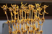 8 món ăn kinh dị nhất Trung Quốc, thách thức thực khách dũng cảm