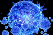 Lý do biến chủng Omicron đáng lo ngại