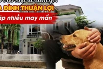 Đầu năm gặp 5 điềm lành này trong nhà dự báo lộc về căng ví