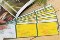 Từ 1/3: GPLX hết hạn, chủ xe bị từ chối bồi thường bảo hiểm