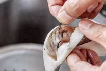 5 bộ phận tạo mùi tanh nhiều nhất trên con cá