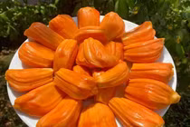 Mít lạ ở miền Tây, từ khách Nga cho tới Dubai đều tranh nhau mua