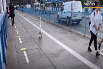 Video: Con thiên nga một mình đi bộ qua Cầu Tháp London