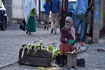 Cuộc sống ở Ethiopia thay đổi thế nào vì biến đổi khí hậu?