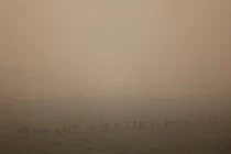 Toàn cảnh thủ đô Ấn Độ chìm trong khói bụi ô nhiễm độc hại 