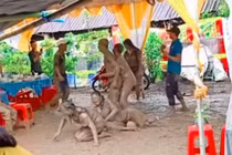 Video: Đi đám cưới, nhóm bạn trẻ ôm nhau nằm lăn giữa bãi sình lầy