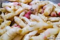 Gừng ngâm vào loại nước này được ví như thần dược