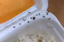 Gọi cơm rang dưa bò, cô nàng ngã ngửa "combo kinh dị" đi kèm