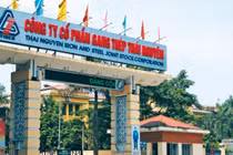 Cựu TGĐ Công ty Gang thép Thái Nguyên, đồng phạm gây thất thoát hơn 830 tỷ