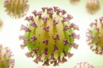 Biến thể BA.2.12.1 vừa xuất hiện ở Việt Nam nguy hiểm sao?