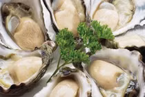 Chọn mua hàu sống tươi ngon, béo ngậy cứ nhắm vào điểm này