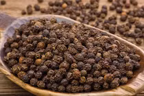 Giá tiêu hôm nay: Duy trì đà ổn định