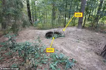 Rúng động hai bé trai bị cưỡng hiếp, chôn sống trong nghĩa trang