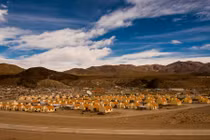 Kỳ lạ ngôi làng nơi người dân ăn được chất kịch độc