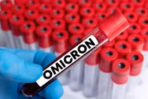 Omicron có hơn 500 biến thể phụ nhưng không đáng lo ngại