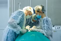 Phát hiện ký sinh trùng trong khối u trên má sau khi muỗi đốt