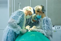 Phát hiện ký sinh trùng trong khối u trên má sau khi muỗi đốt