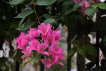 Chết lặng với tin nhắn của vợ sau khi bị bắt quả tang ngoại tình