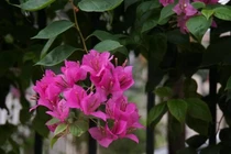 Chết lặng với tin nhắn của vợ sau khi bị bắt quả tang ngoại tình