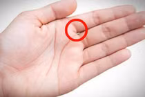 Nhìn kẽ hở bàn tay, biết ngay tương lai giàu sang hay túng thiếu