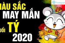 Video: Màu sắc phong thủy mang may mắn, phú quý cho 12 con giáp năm 2020 (P1)