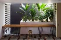 Những mẫu vườn mini cho nhà nhỏ "xua tan" nóng bức ngày hè