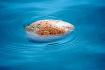 Khám phá loại đá có thể tự nổi trên mặt nước biển 