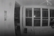 Video: Gấu biết mở cửa đột nhập vào nhà dân để ăn pizza