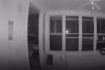 Video: Gấu biết mở cửa đột nhập vào nhà dân để ăn pizza